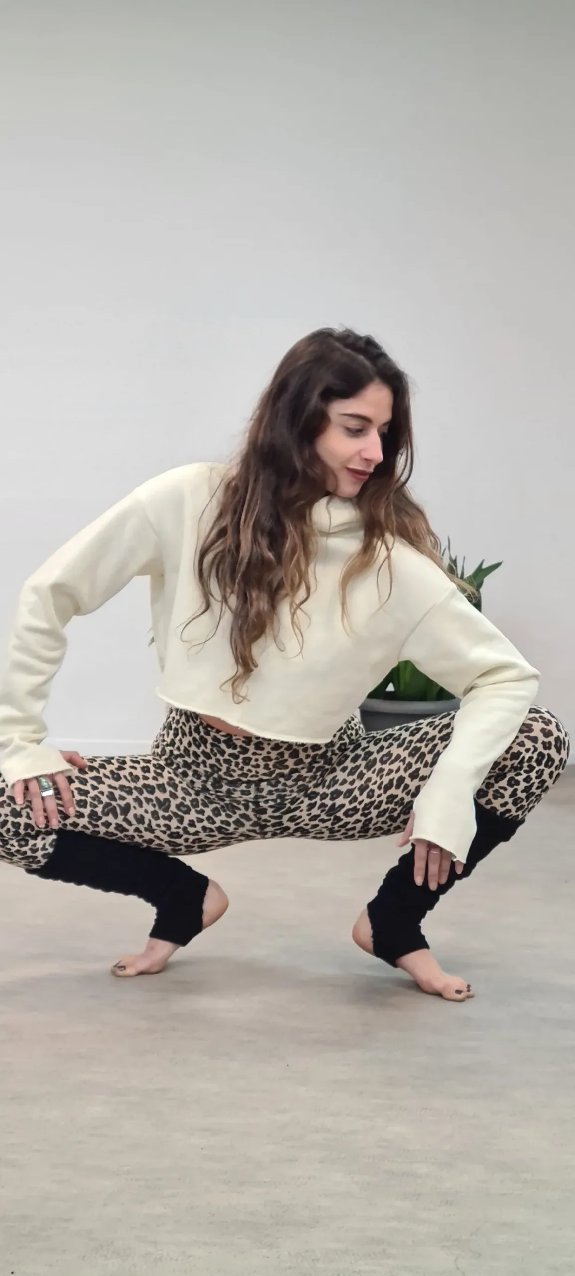 קפוצ'ון פוטר שמנת